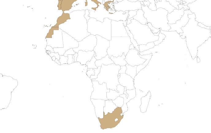 Afrika kaart