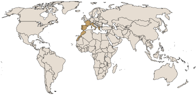 Wereld kaart